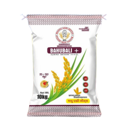 BAHUBALI+ Paddy Seed