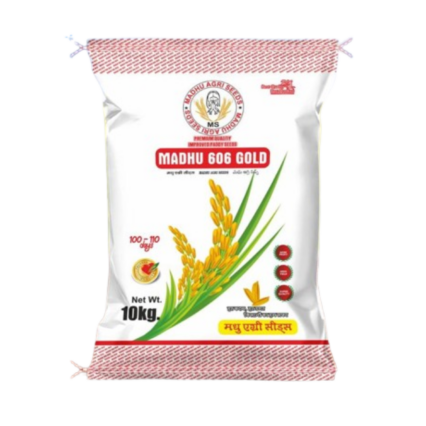 MADHU 606 GOLD Paddy Seed