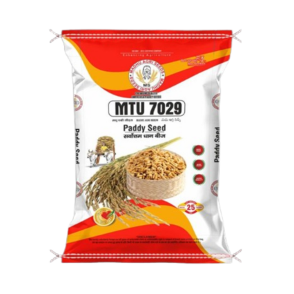 MTU 7029 Paddy Seed