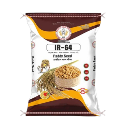 IR 64 Paddy