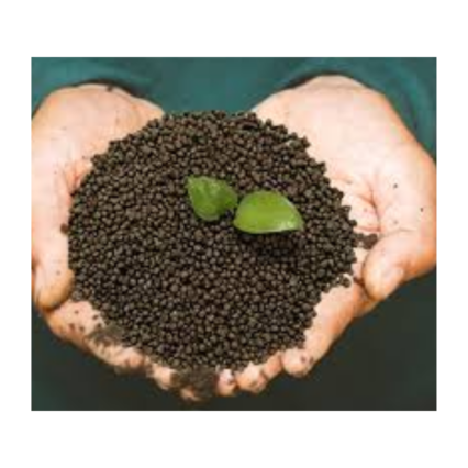Chlorpyrifos