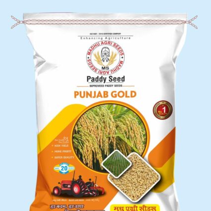 Punjab Gold Paddy Seed