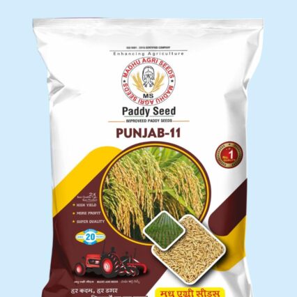 Punjab-11 Paddy Seed
