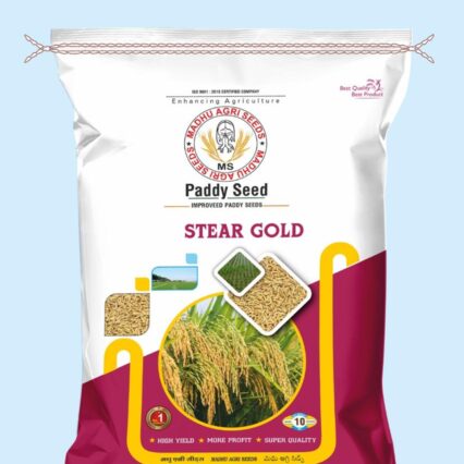 Stear Gold Paddy Seed