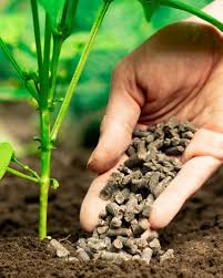 NPK Fertilizers